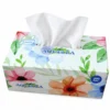 Șervețele cosmetice din celuloză, 2 straturi, 200 foi personalizata Șervețele cosmetice din celuloză, 2 straturi, 200 foi personalizata